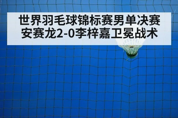badminton net play