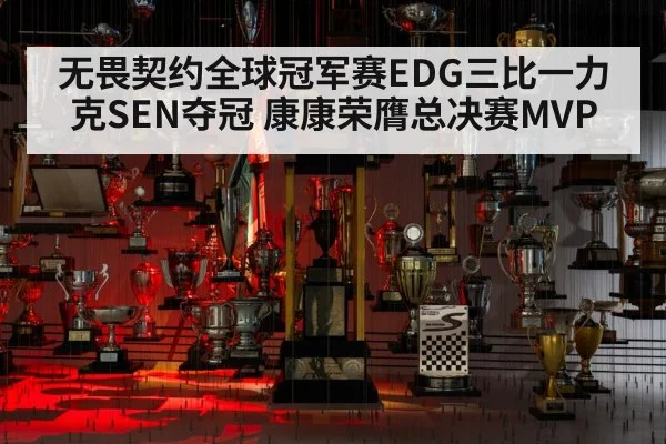 无畏契约全球冠军赛EDG三比一力克SEN夺冠 康康荣膺总决赛MVP