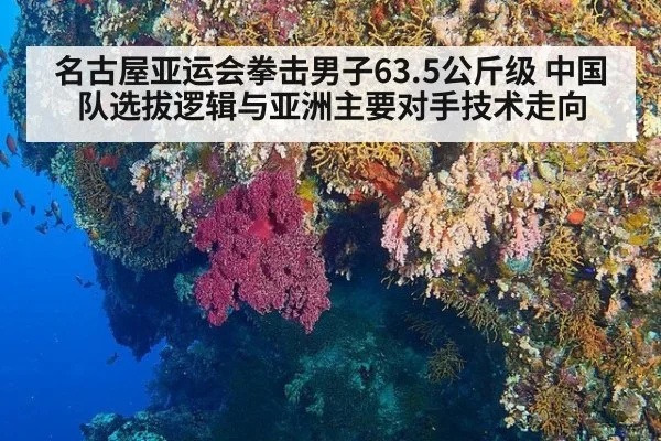 名古屋亚运会拳击男子63.5公斤级 中国队选拔逻辑与亚洲主要对手技术走向